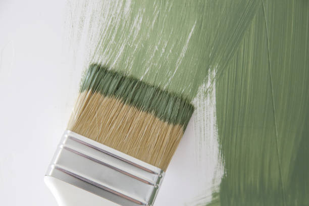 Best Black Mold Removal  in Lake Holiday, IL