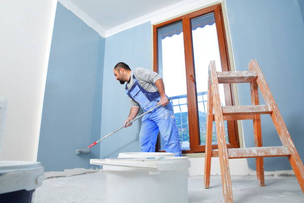 Best Mold Damage Restoration  in Lake Holiday, IL