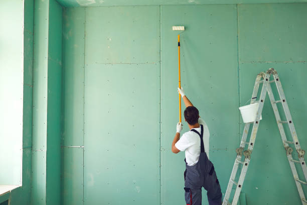 Best Basement Mold Removal  in Lake Holiday, IL