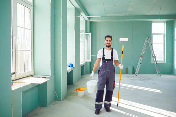 Best Attic Mold Removal  in Lake Holiday, IL
