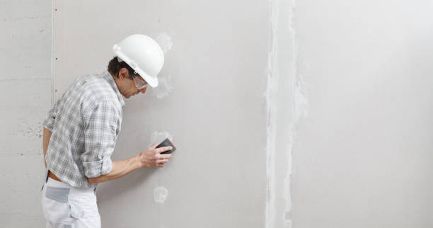 Best Indoor Air Quality Assessment  in Lake Holiday, IL