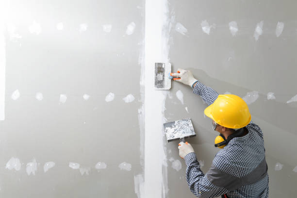  Lake Holiday, IL Mold Removal Pros