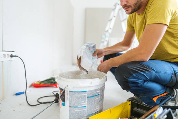 Best Mold-Related Health Consultation  in Lake Holiday, IL