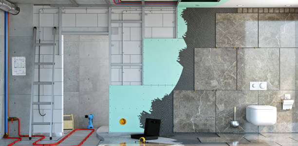 Reliable Lake Holiday, IL Mold Removal Solutions