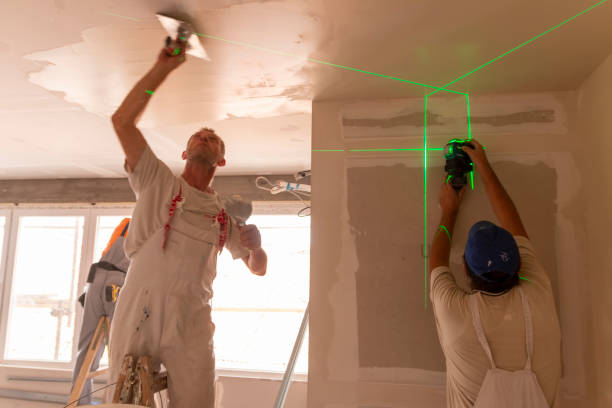Biohazard Mold Removal in Lake Holiday, IL