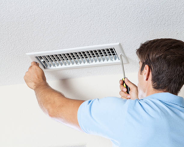 Best Water Damage & Mold Remediation  in Lake Holiday, IL
