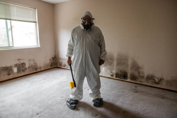 Best Post-Construction Mold Inspection  in Lake Holiday, IL